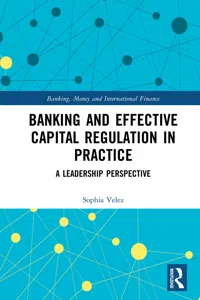 Banking and Effective Capital Regulation in Practice_cover