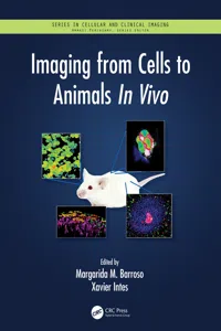 Imaging from Cells to Animals In Vivo_cover