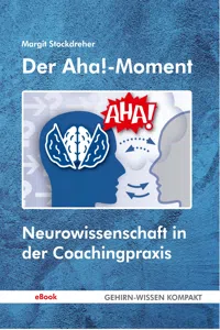 Der Aha!-Moment_cover