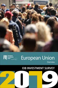 EIB Group Survey on Investment and Investment Finance 2019: EU overview_cover