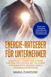 Energie-Ratgeber für Unternehmer_cover