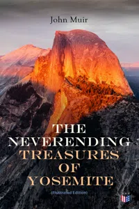 The Neverending Treasures of Yosemite_cover