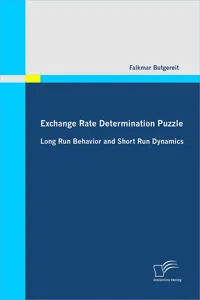 Exchange Rate Determination Puzzle: Long Run Behavior and Short Run Dynamics_cover