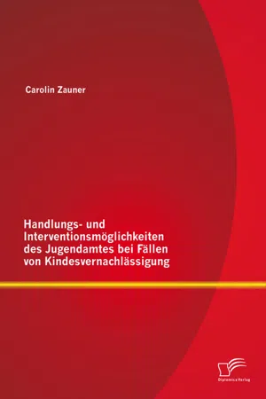 Handlungs- und Interventionsmöglichkeiten des Jugendamtes bei Fällen von Kindesvernachlässigung