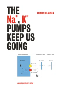 The Na+, K+ Pumps Keep Us Going_cover