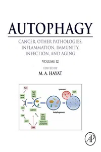 Autophagy: Cancer, Other Pathologies, Inflammation, Immunity, Infection, and Aging_cover