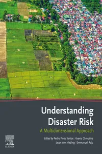 Understanding Disaster Risk_cover