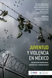 Juventud y violencia en México_cover