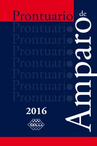 Prontuario de Amparo 2016_cover