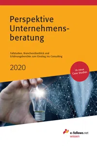 Perspektive Unternehmensberatung 2020_cover