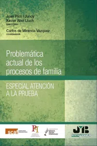 Problemática actual de los procesos de familia_cover