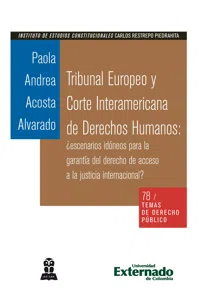 Tribunal Europeo y Corte Interamericana de Derechos Humanos: ¿escenarios idóneos para la garantía del derecho de acceso a la justicia internacional?_cover