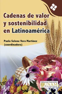 Cadenas de valor y sostenibilidad en Latinoamérica_cover