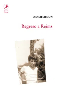 Regreso a Reims_cover