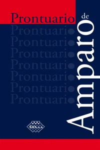 Prontuario de Amparo 2017_cover