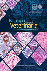 Patología general veterinaria_cover