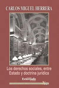 Los derechos sociales entre estado y doctrina jurídica_cover