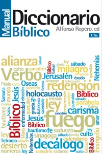 Diccionario Manual Bíblico_cover