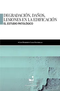 Degradación, daños, lesiones en la edificación_cover