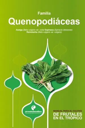 Manual para el cultivo de hortalizas. Familia Quenopodiáceas