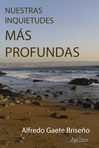 Nuestras Inquietudes más Profundas_cover