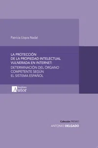 La protección de la propiedad intelectual vulnerada en internet_cover