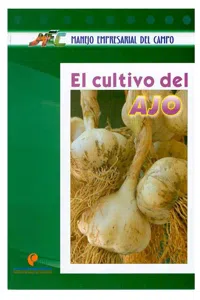 El cultivo del ajo_cover