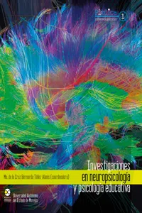 Investigaciones en neuropsicología y psicología educativa_cover