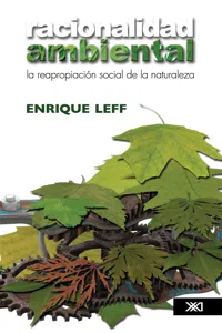 Racionalidad ambiental_cover
