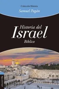 Historia del Israel bíblico_cover