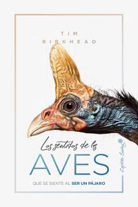 Los sentidos de las aves_cover