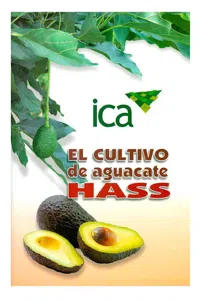 El cultivo de aguacate Hass_cover