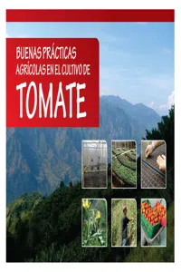 Buenas prácticas agrícolas en el cultivo de tomate_cover