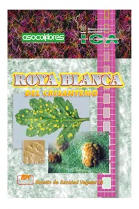 Roya blanca del crisantemo_cover