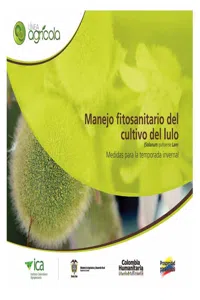 Manejo fitosanitario del cultivo del lulo (Medidas para la temporada invernal_cover