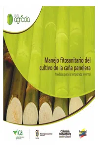 Manejo fitosanitario del cultivo de la caña panelera, medidas para la temporada invernal_cover