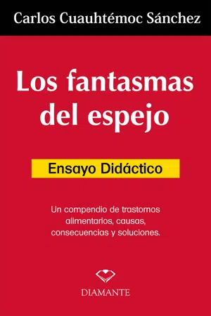 Los fantamas de espejo. Ensayo didáctico