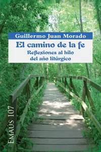 El camino de la fe. Reflexiones al hilo del año litúrgico_cover