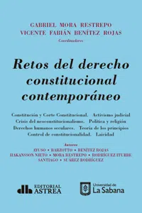 Retos del derecho constitucional contemporáneo_cover