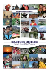 Desarrollo sostenible: Hacia la sostenibilidad ambiental_cover