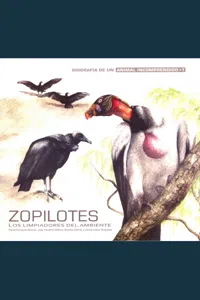 Zopilotes_cover