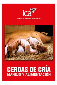 Cerdas de cría: manejo y alimentación_cover