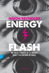 Energy Flash_cover