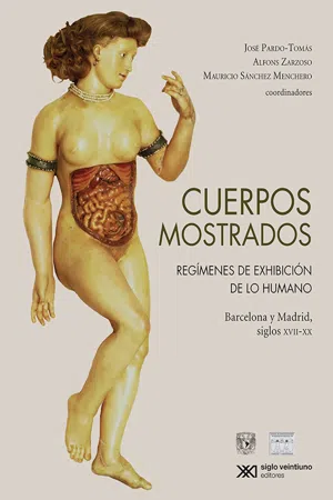 Cuerpos mostrados