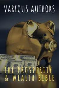 The Prosperity & Wealth Bible_cover