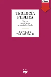 Teología pública_cover