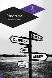 Panorama_cover