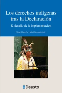 Los derechos indígenas tras la Declaración_cover