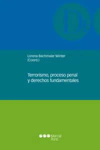 Terrorismo, proceso penal y derechos fundamentales_cover