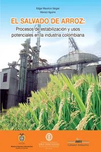 El salvado de arroz: procesos de estabilización y usos potenciales en la industria colombiana_cover